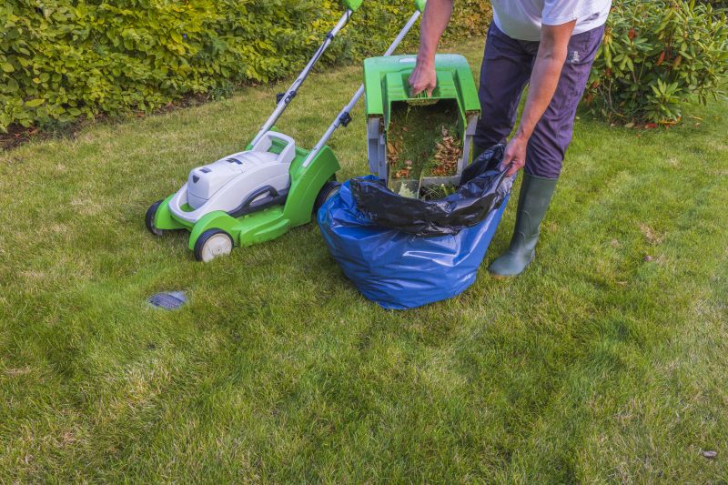 Bluffton Lawn Maintenance
