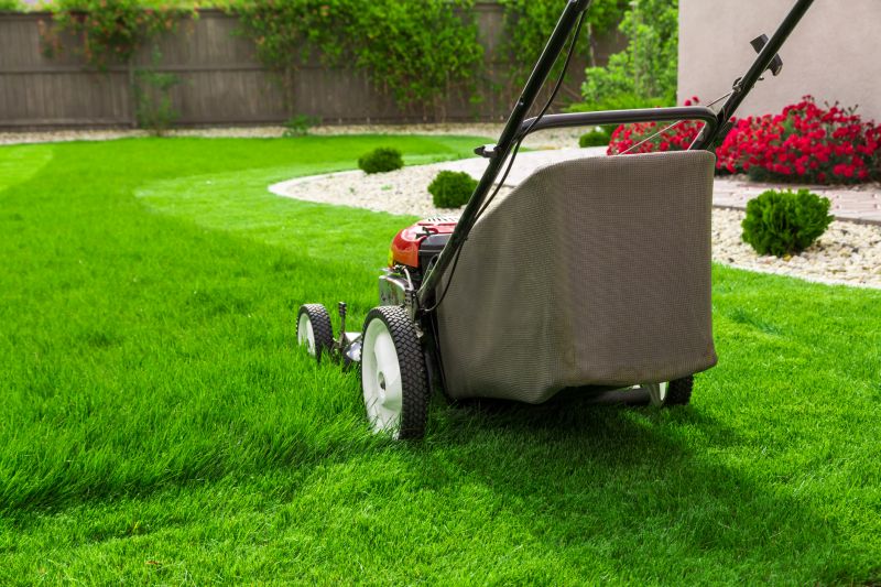 Lawn Mowing detail