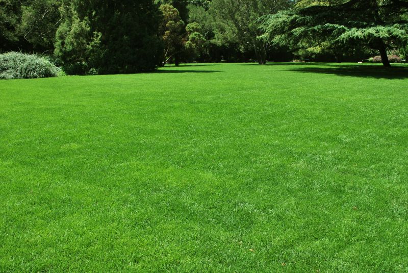 Spring Lawn Care