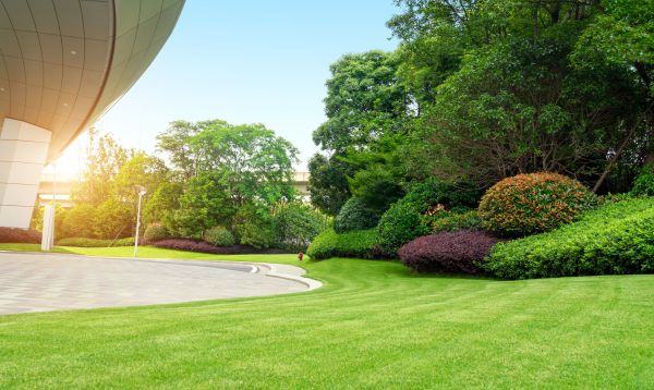 Commercial Lawn Care in Bluffton