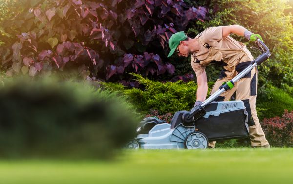 Yard Care Service in Bluffton