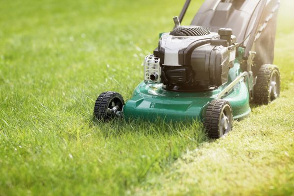 Yard Cutting in Bluffton