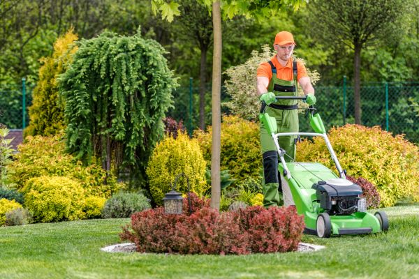 Yard Service in Bluffton
