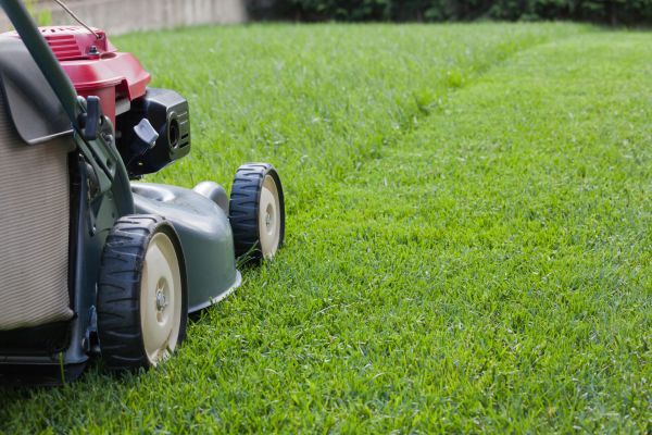 Residential Lawn Care in Bluffton