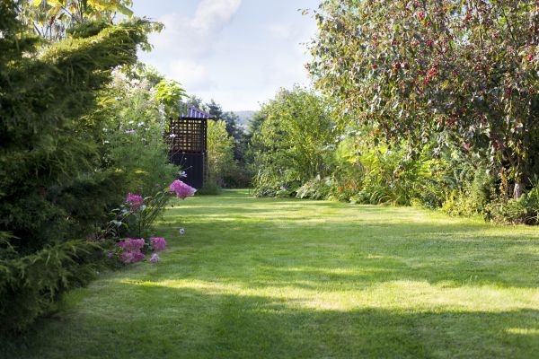 Yard Upkeep Service in Bluffton