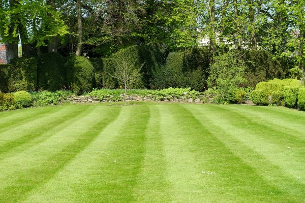 Grass Care Service in Bluffton
