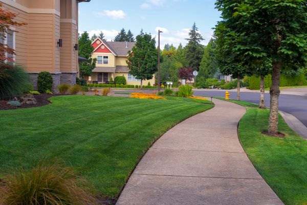 Home Lawn Maintenance in Bluffton