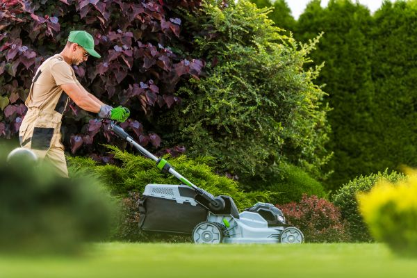 Lawn Management in Bluffton