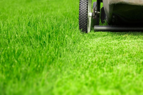 Weekly Lawn Care in Bluffton
