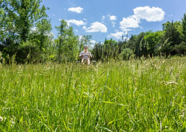 Long Grass Mowing in Bluffton