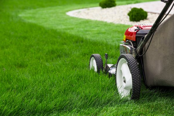 Lawn Trimming in Bluffton
