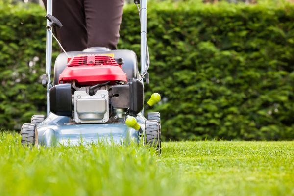 Grass Trimming Service in Bluffton