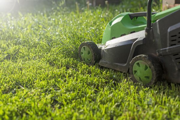 Yard Trimming in Bluffton