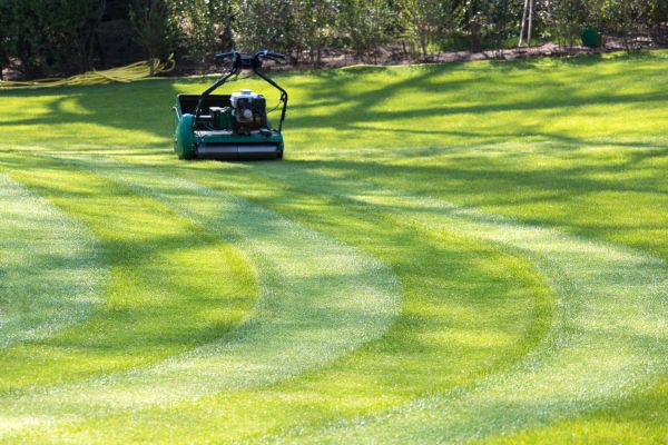 Business Lawn Mowing in Bluffton