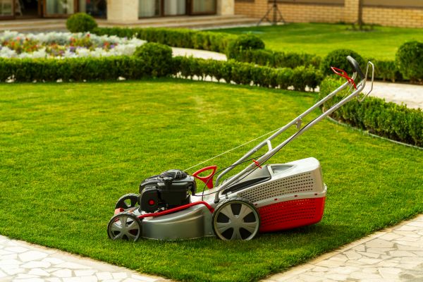 Business Grass Cutting in Bluffton