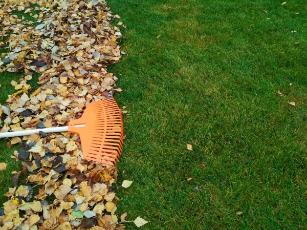 Fall Lawn Care in Bluffton