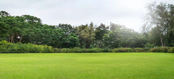 Cost of Golf Course Mowing in Bluffton