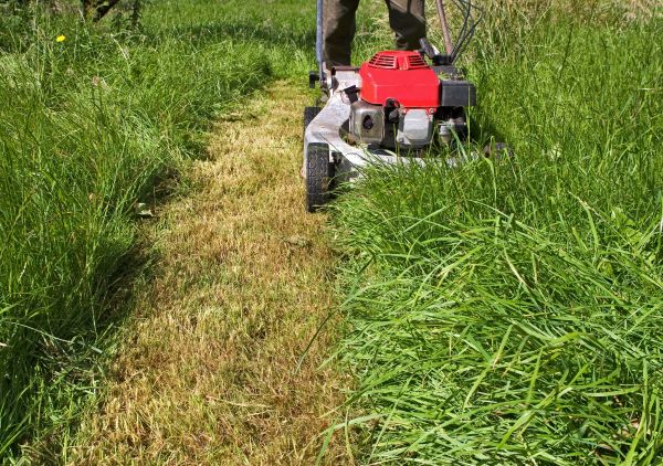 Leaf Mowing in Bluffton